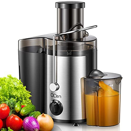 Best Bargain Juicer: Top Affordable Picks for Fresh Juice Lovers ...
