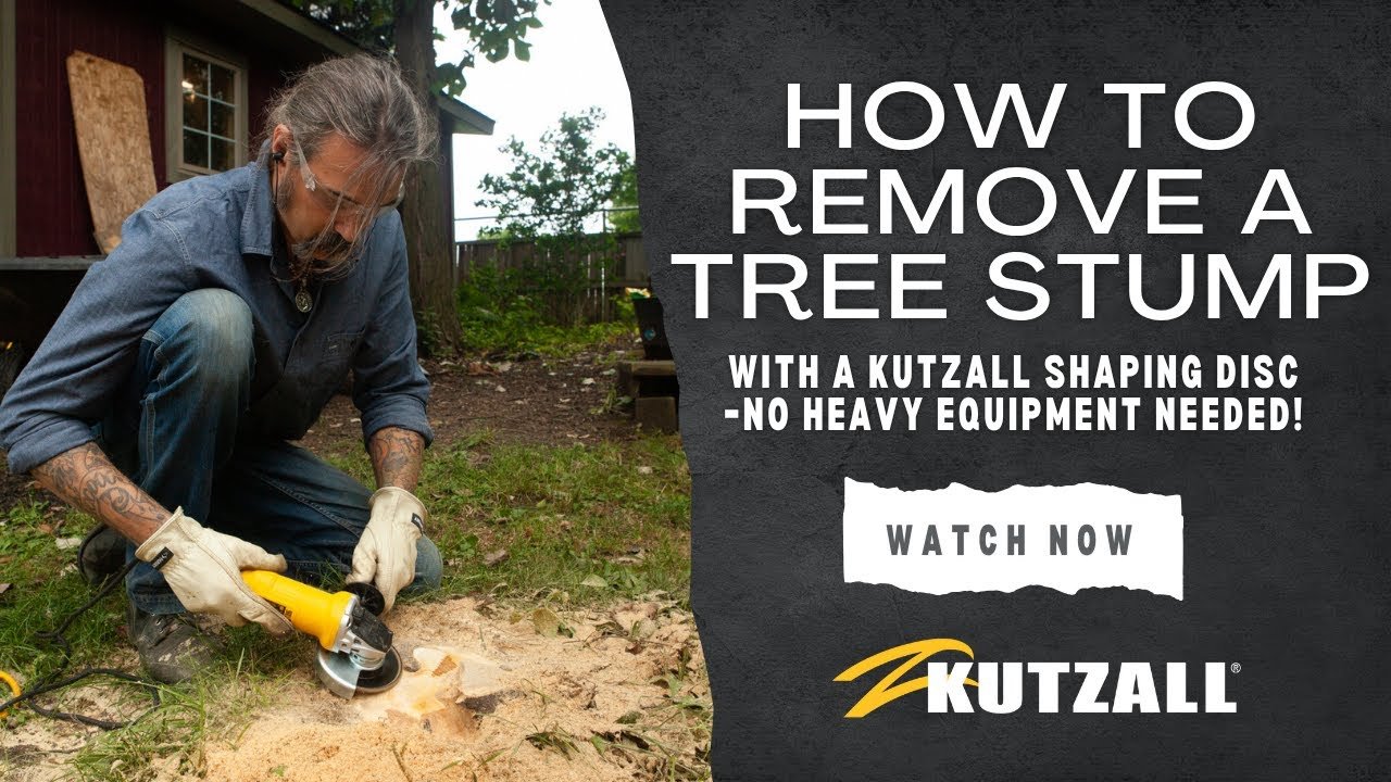 How to Remove a Stump Without a Grinder: Easy DIY Methods - KitchenAbly