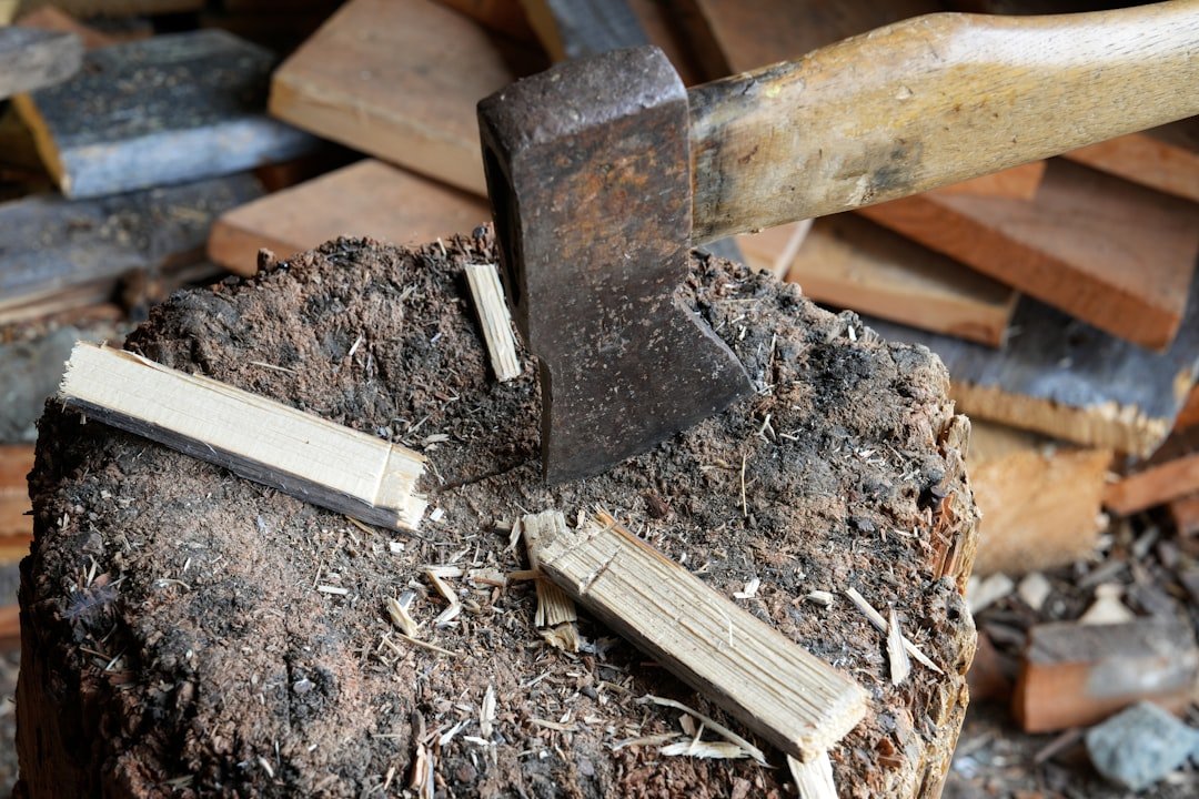 How to Remove Stump Without Grinder: Simple DIY Tips - KitchenAbly